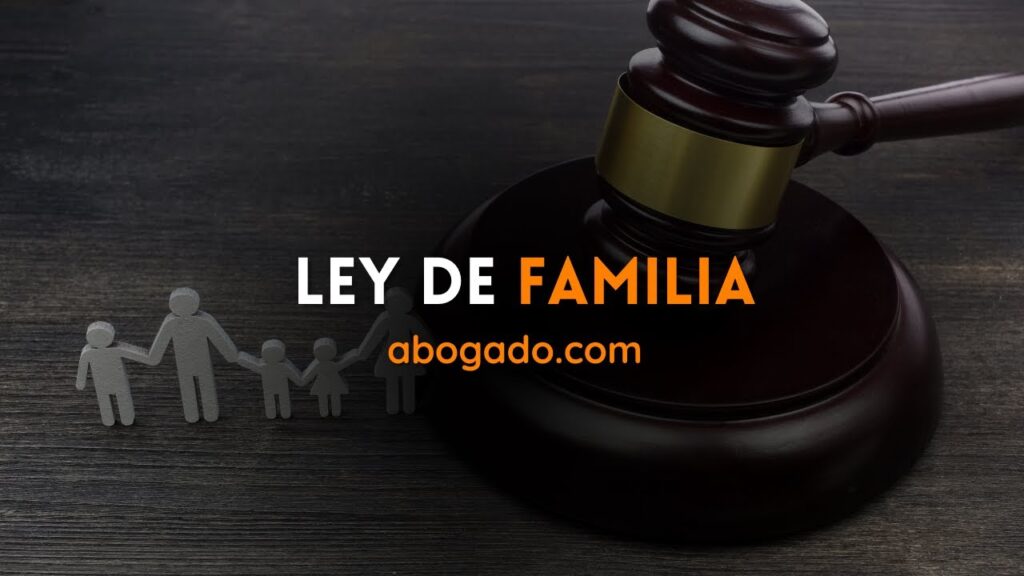 Cómo comprender leyes familiares generales 1 ¿Qué es el derecho de familia? 👪 Ley de familia | Custodia de menores en EEUU | Abogado.com